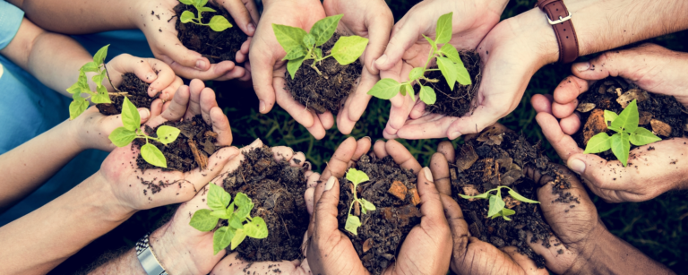 The Wilder Communities Project