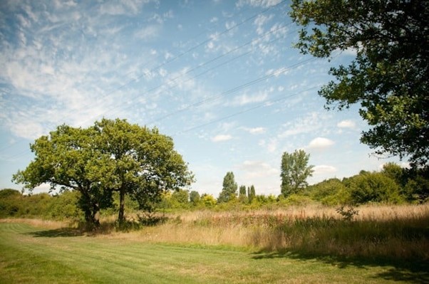 Upper Lighthorne Foster a Tree scheme